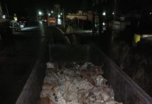 *अवैध गोवंश वाहतुकीवर पोलिसांचा मोठा धडक! 52 जनावरांची सुटका; 40 लाखांचा मुद्देमाल जप्त*
