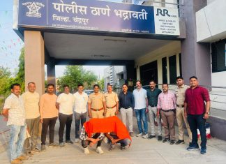 *धक्कादायक! भद्रावतीत सुपारी देऊन पतीचा खून; चार आरोपी अटकेत*